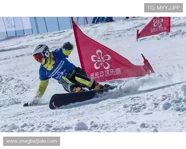 云顶国际体育平台下载官方渠道,确保账号安全的下载方法详解 云顶国际体育平台下载官方渠道,确保账号安全的下载方法详解